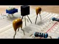 Transistors  biasing, and amplifiers