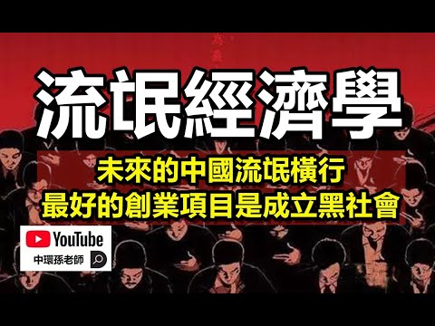 流氓经济学!未来的中国流氓横行,最好的创业项目是成立黑社会|政经孙老师