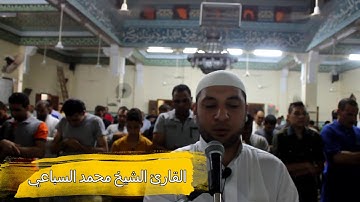 ماتيسر من سورة البقرة  ليالي رمضان 1437 الشيخ محمد السباعي المسجد الكبير