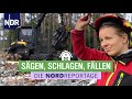 Sägen, Schlagen, Fällen - Mit großen Maschinen durch die Holzernte | Die Nordreportage | NDR image