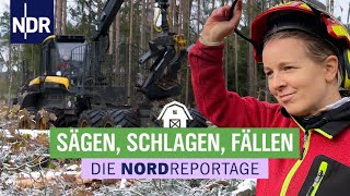 Sägen, Schlagen, Fällen  Mit großen Maschinen durch die Holzernte | Die Nordreportage | NDR