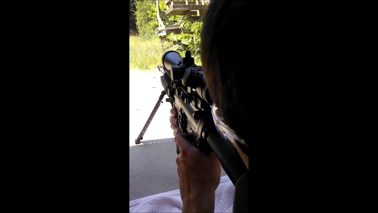 WPB Sig 716 Patrol 308