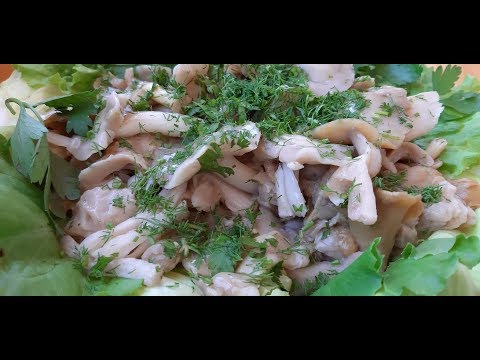 Георгиев гриб или майская рядовка в рассоле. Calocybe gambosa.
