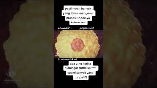 Proses Berkembangnya Mia Khusus Dewasa