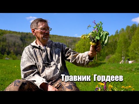 Травник Гордеев