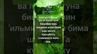 Аятул Курси очищает душу и вашего дома