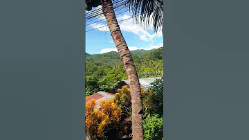 Mountain Overview Lisngag Man Atung Ilong Ani Guyz Sobida Ba Kaayo Grabe Kaangaton Asa Nka 