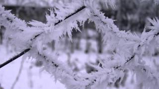 Nimeni Altu - Suflet Rece