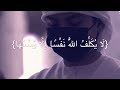 خواتيم سورة البقرة القارئ الشيخ إدريس أبكر
