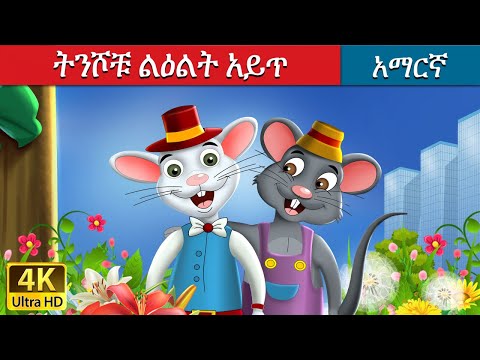 የከተማ አይጥና የገጠር አይጥ | Town Mouse and the Country Mouse in Amharic |  Amharic Fairy Tales