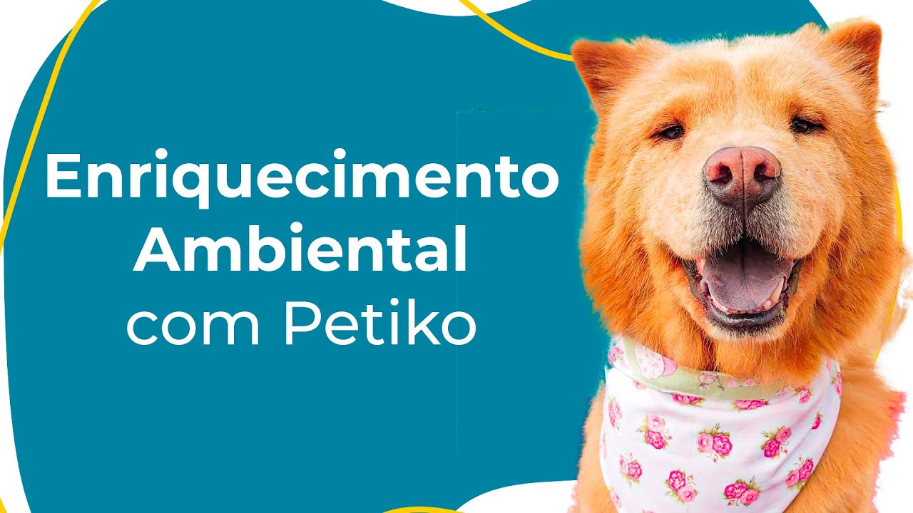 Brinquedo Peão P/ Cachorro Enriquecimento Ambiental Pawise