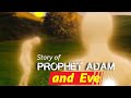 Prophet adam  eve a quranic story in suratulbaqara  aeyraaf urdu translation