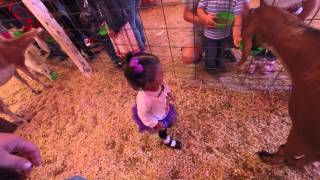 Emma's First Pumpkin Patch