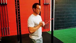 Band Pallof Press screenshot 5