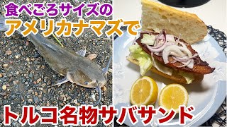 食べごろサイズのアメリカナマズでトルコ名物サバサンド