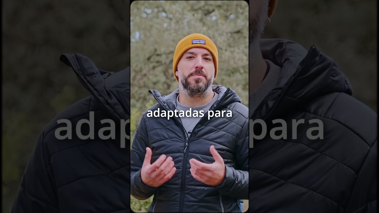 4 de febrer del 2025