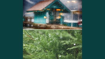 Tranquil (November Moods)