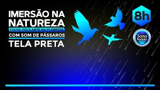 Imersão na natureza: Chuva oscilante na floresta com som de pássaros