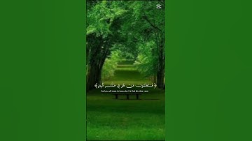 قرآن كريم #اكسبلور#المصحف #دويتو #الرحمن #duet