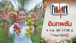 Foodwork : อินทผลัม (4 ก.ย. 59)