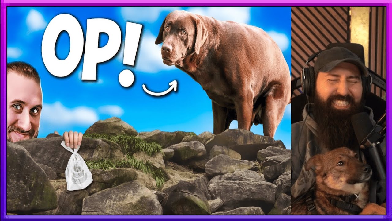 ,,HUNDE sind viel zu OVERPOWERED