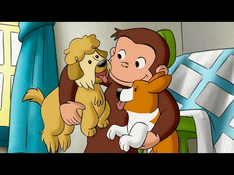 ジョージの子犬の友達 おさるのジョージ