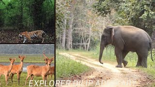 Amazing Bandhavgarh National Park | মধ্যপ্রদেশ | Part2 | MP 19