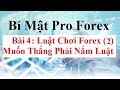 FOREX PRO - YouTube