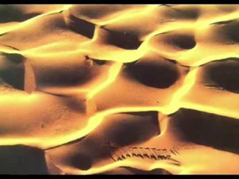 Armand Amar .. spectacular - YouTube