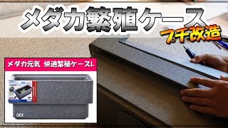 【DIY】超簡単！GEXメダカ容器をプチ改造！