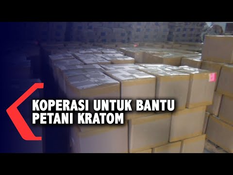 Video: Bagaimana koperasi membantu petani?