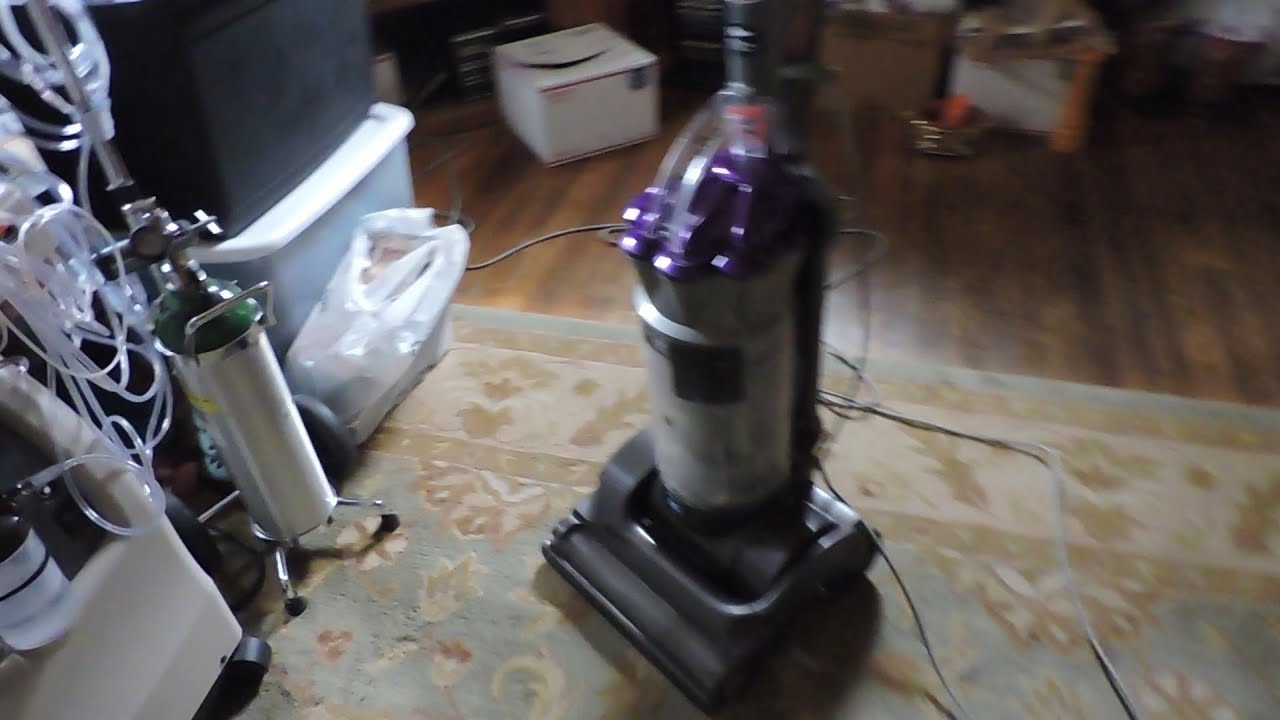 (2006) Dyson DC17 Absolute Animal First Test - YouTube