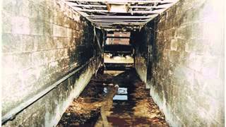 Wind Driven FDNY Vandalia LODD