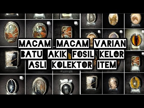 18 Macam Batu Fosil Kelor Asli Kolektor Item || Jenis - Jenis Batu Akik Fosil Kelor Varian Langka