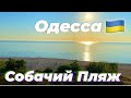 ОДЕССА КАРАНТИН 10.05.2020!СОБАЧИЙ ПЛЯЖ 10.05.2020!ФРАНЦУЗКИЙ БУЛЬВАР 10.05.2020!ODESSA QUARANTINE!