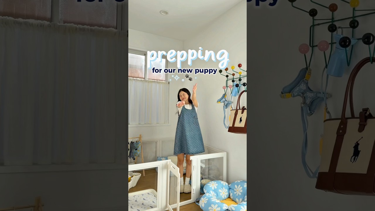 The full unboxing + playpen setup is in my YouTube vlog 🐶