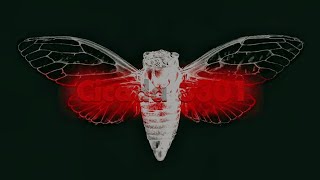 Cicada 3301: The Internet Mystery That No One Can Solve”