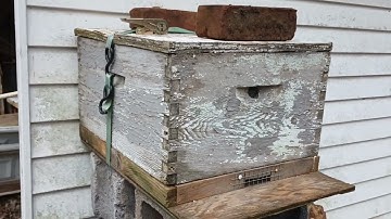 Setting a Swarm Trap for the Fun of it | Simple Basic Bait Hive 101