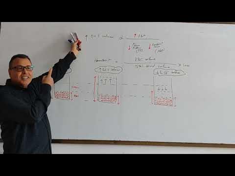 Darrow Yannet diagram part 2 - YouTube
