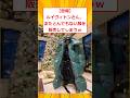 【悲報】ルイヴィトンさん、またとんでもない服を販売してしまうｗ」【2ch面白いスレ】#2ch面白いスレ #2ch #5ch #shorts