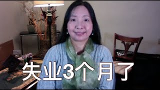 被解雇经过，已经失业3个月，如何生活？申请失业救济金？申请政府保险？