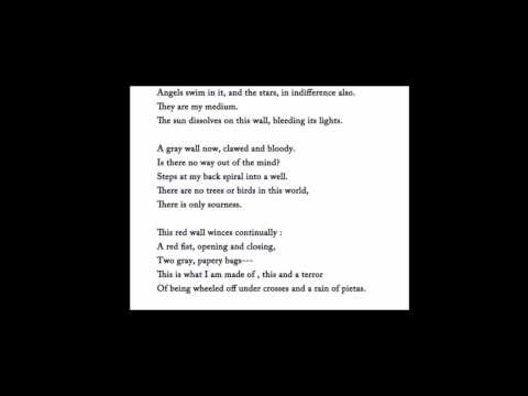 Apprehensions | Sylvia