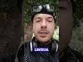 Fate chiacchiere io faccio numeri.Parlate tanto,ma quando conto le cifre #rapmessinese #freestyle