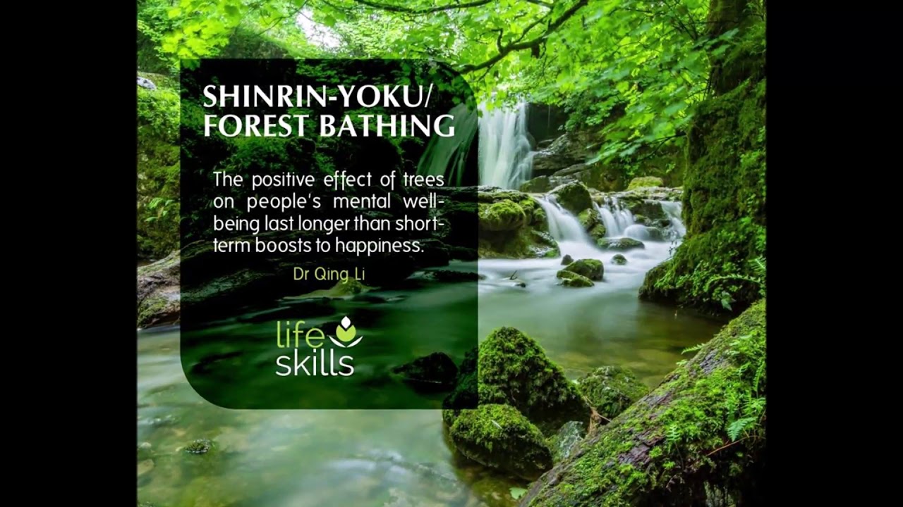 SHINRIN-YOKU: FOREST BATHING - YouTube