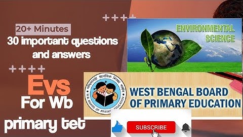 Wb primary tet ll EVS IMPORTANT QUESTIONS AND ANSWERS SERIES
