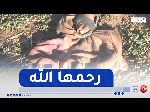 المسيلة وفاة مأساوية لطفلة في الثالثة من عمرها إثر هجوم كلاب ضالة