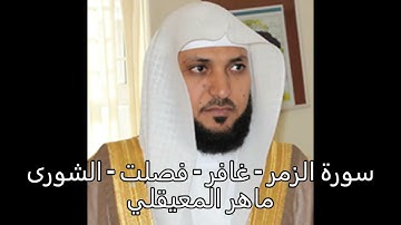سورة   - الزمر - غافر - فصلت - الشورى - الشيخ ماهر المعيلقي
