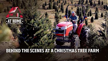 Behind The Scenes at a Christmas Tree Farm | At Home With Massey Ferguson