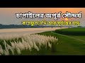 🌾 "চাপাইল ভ্রমণ: কাশফুল, নদী আর সূর্যাস্তে হারিয়ে যাওয়া এক বিকেল | Chapail Travel Vlog Bangladesh"