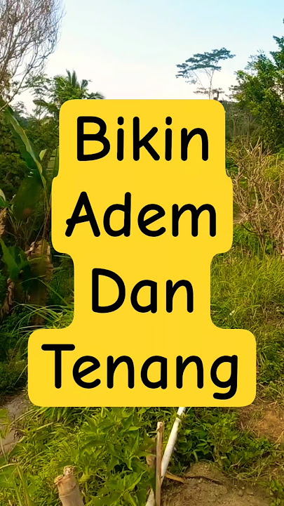 keindahan alam dikampung #desa #alam #indah #ytshorts #explore #qoriinternasional #suaramerdu #sisi